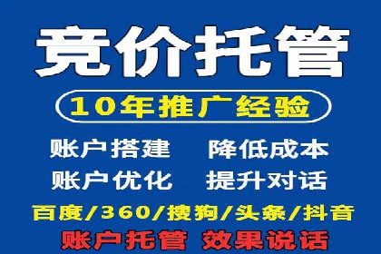案例研究：百度竞价广告投放效果